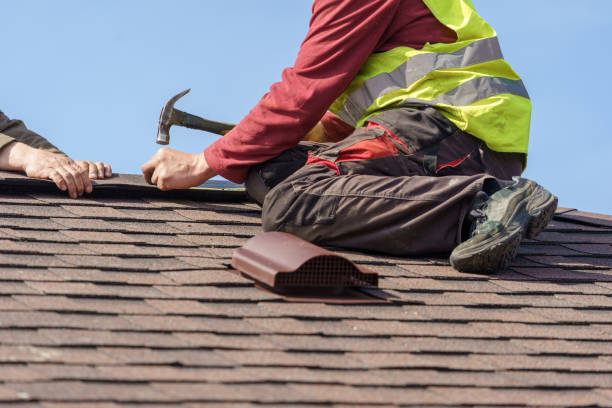 Best Local Roofing Companies  in Carnesville, GA