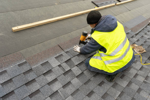 Gutter Installation and Roofing in Carnesville, GA