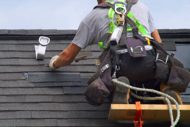 Best Roofing Contractor Near Me  in Carnesville, GA