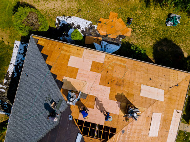 Best New Roof Installation  in Carnesville, GA