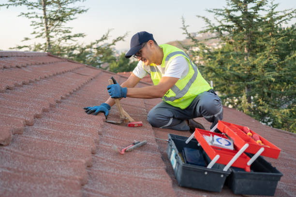 Best Roof Restoration Services  in Carnesville, GA