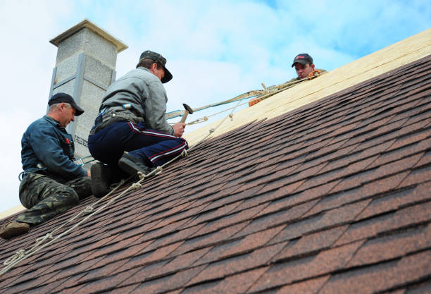 Best Residential Roof Replacement  in Carnesville, GA
