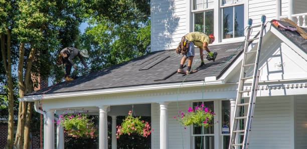 Best Roof Leak Repair  in Carnesville, GA