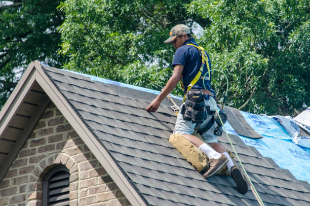 Roof Waterproofing Services in Carnesville, GA